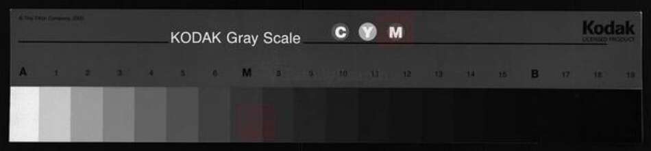 广东省河源市和平广东省河源市龙川县广东省惠州市惠阳区邹氏族谱-邹氏族谱 [13卷].pdf电子版缩略图