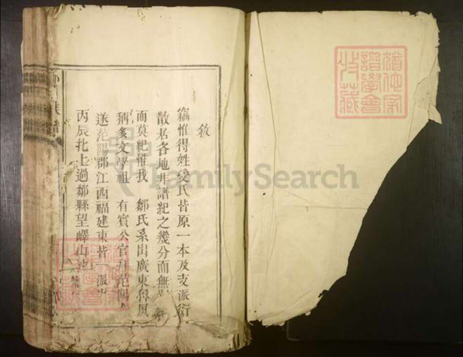 广东省河源市龙川县邹氏族谱-邹氏族谱[不分卷].pdf电子版预览图1