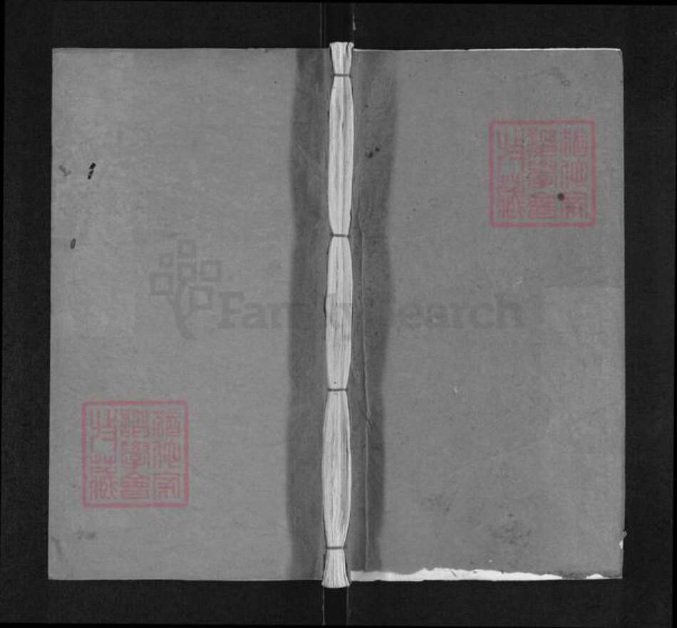 湖北省武汉市新洲区左氏裕俊堂族谱-左氏宗谱.pdf电子版缩略图