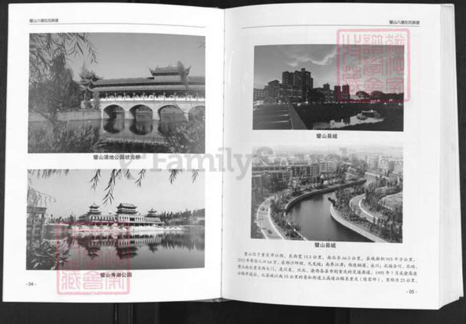 重庆市璧山区八塘镇左氏族谱-济阳左氏族谱.pdf电子版预览图3