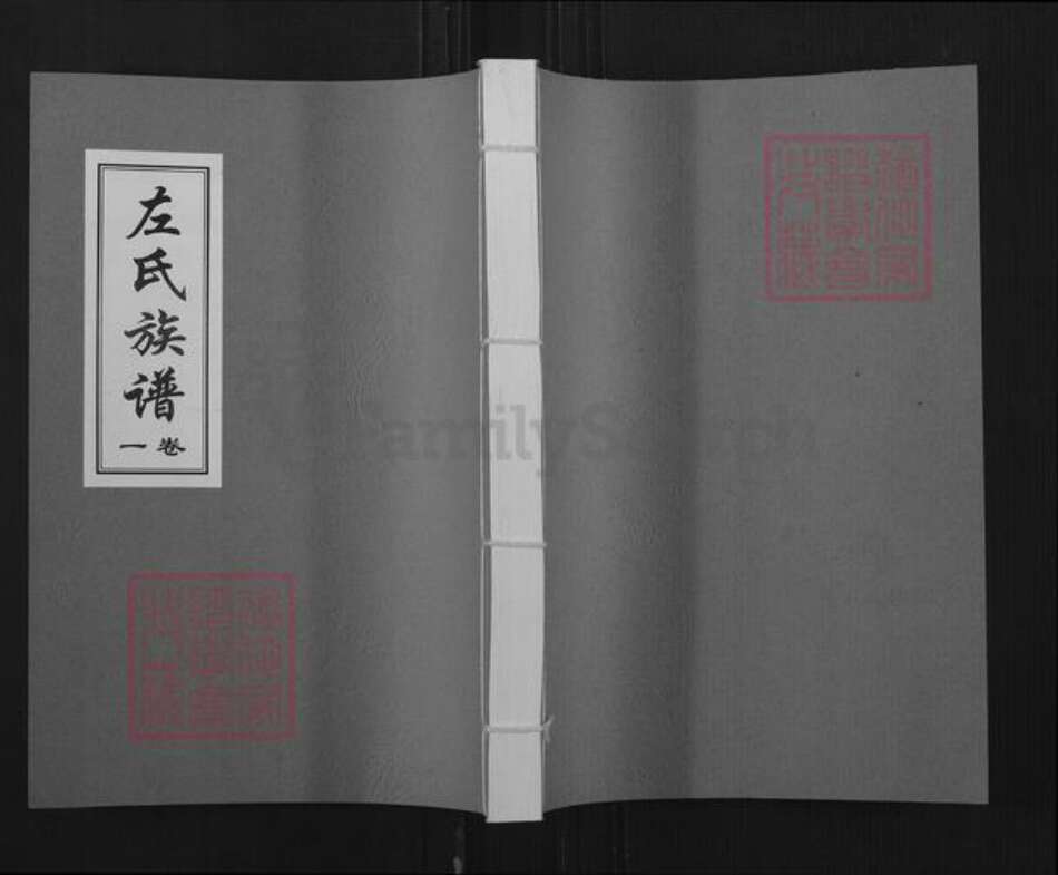 山东省日照市莒县安庄镇左氏族谱-左氏族谱.pdf电子版缩略图