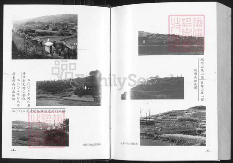 湖南省邵阳市邵东市左氏南华堂族谱-左氏族谱(合一修).南华堂卷.pdf电子版预览图3