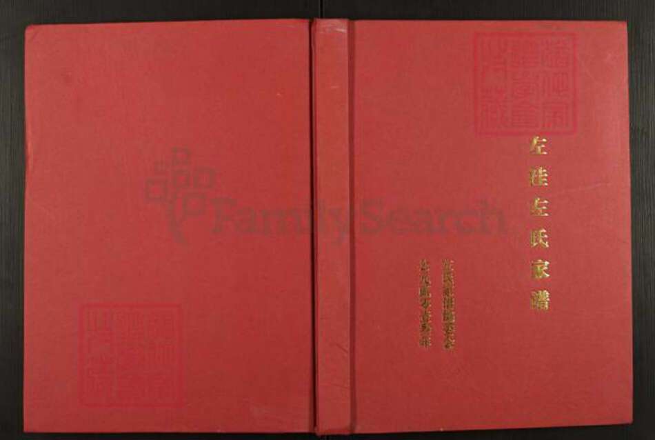 河南省开封市杞县湖岗乡左氏族谱-左洼左氏家谱.pdf电子版缩略图