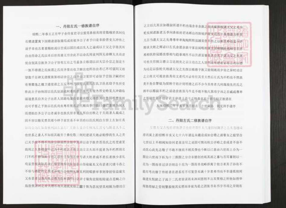 江西省吉安市永新县怀忠镇左氏族谱-丹阳左氏七修族谱.pdf电子版预览图4