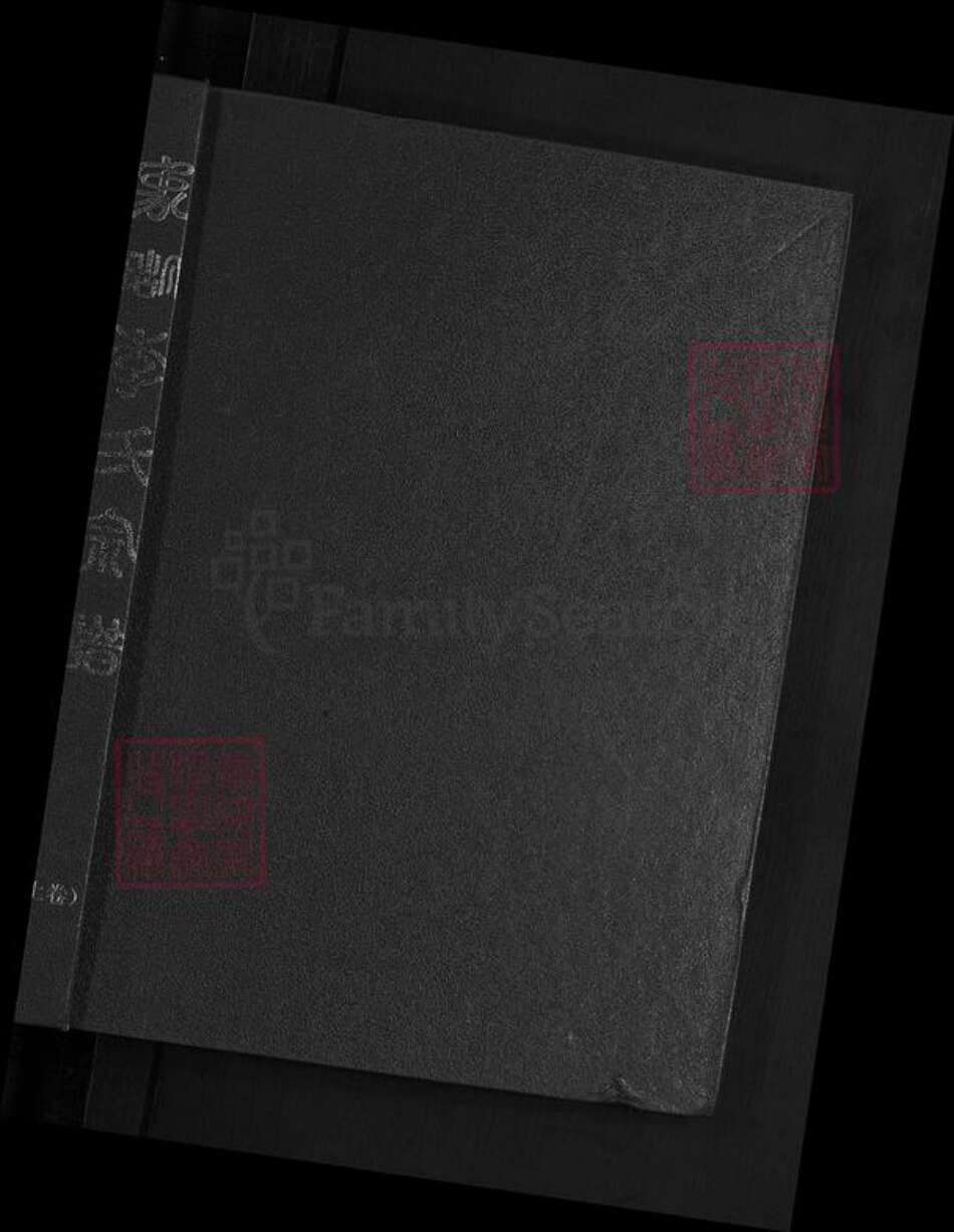 浙江省金华市永康市方岩镇李氏听彝堂族谱-象瑚李氏宗谱.pdf电子版预览图1