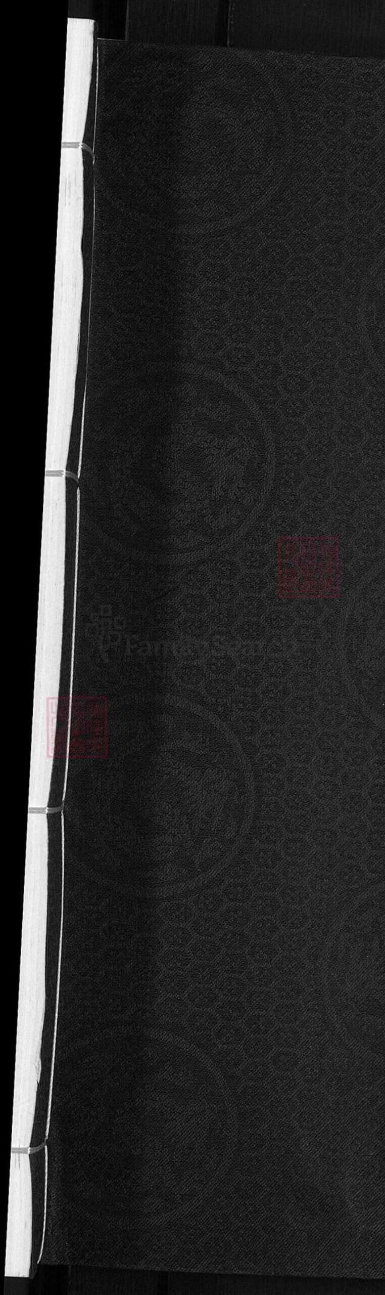 浙江省丽水市缙云县徐氏族谱-徐氏宗谱.pdf电子版预览图1