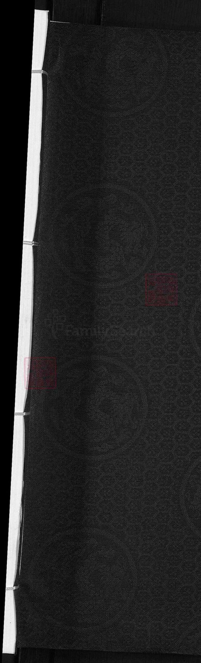 浙江省金华市兰溪市林氏九牧堂族谱-西河林氏宗谱.pdf电子版预览图1