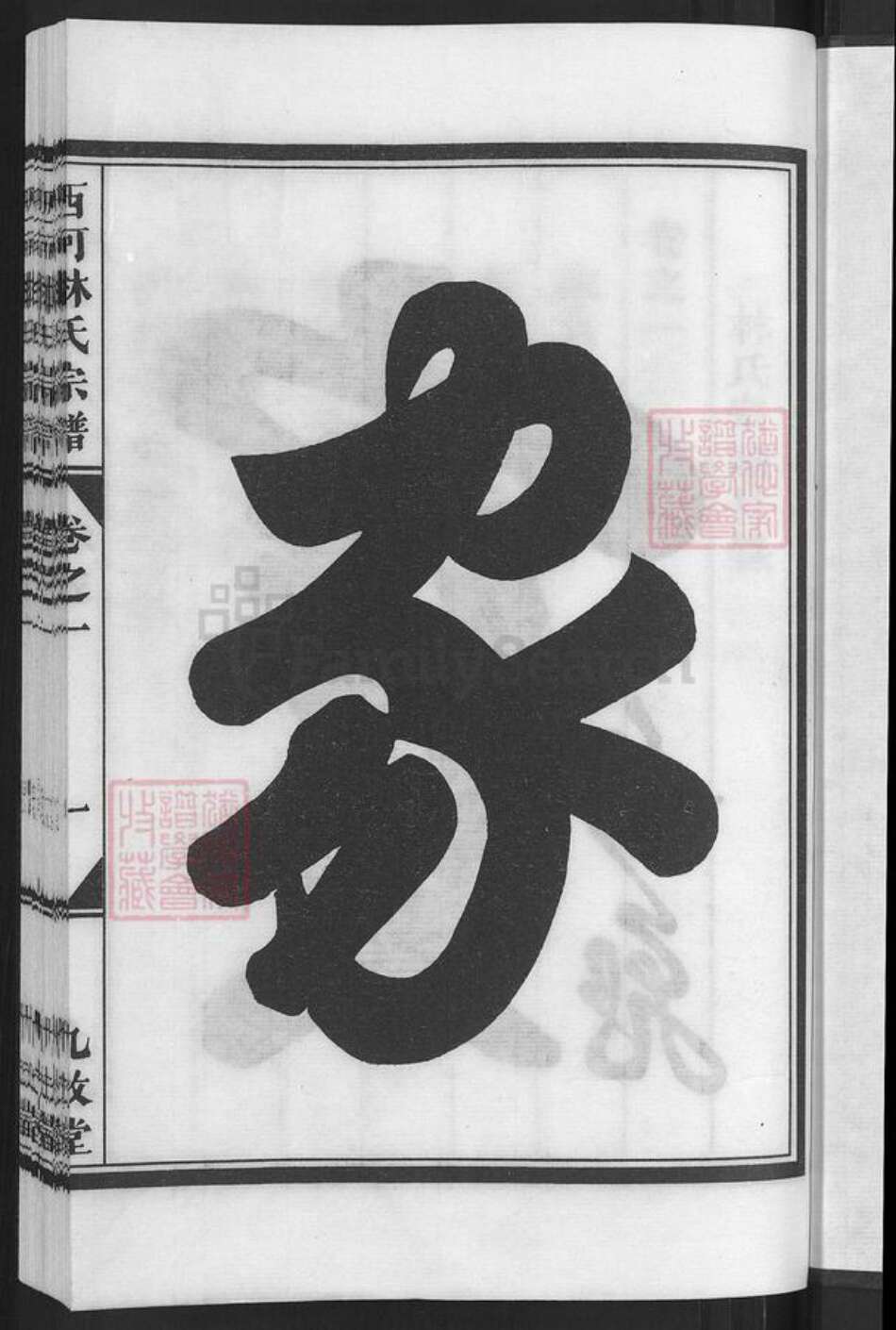 浙江省金华市兰溪市林氏九牧堂族谱-西河林氏宗谱.pdf电子版预览图3