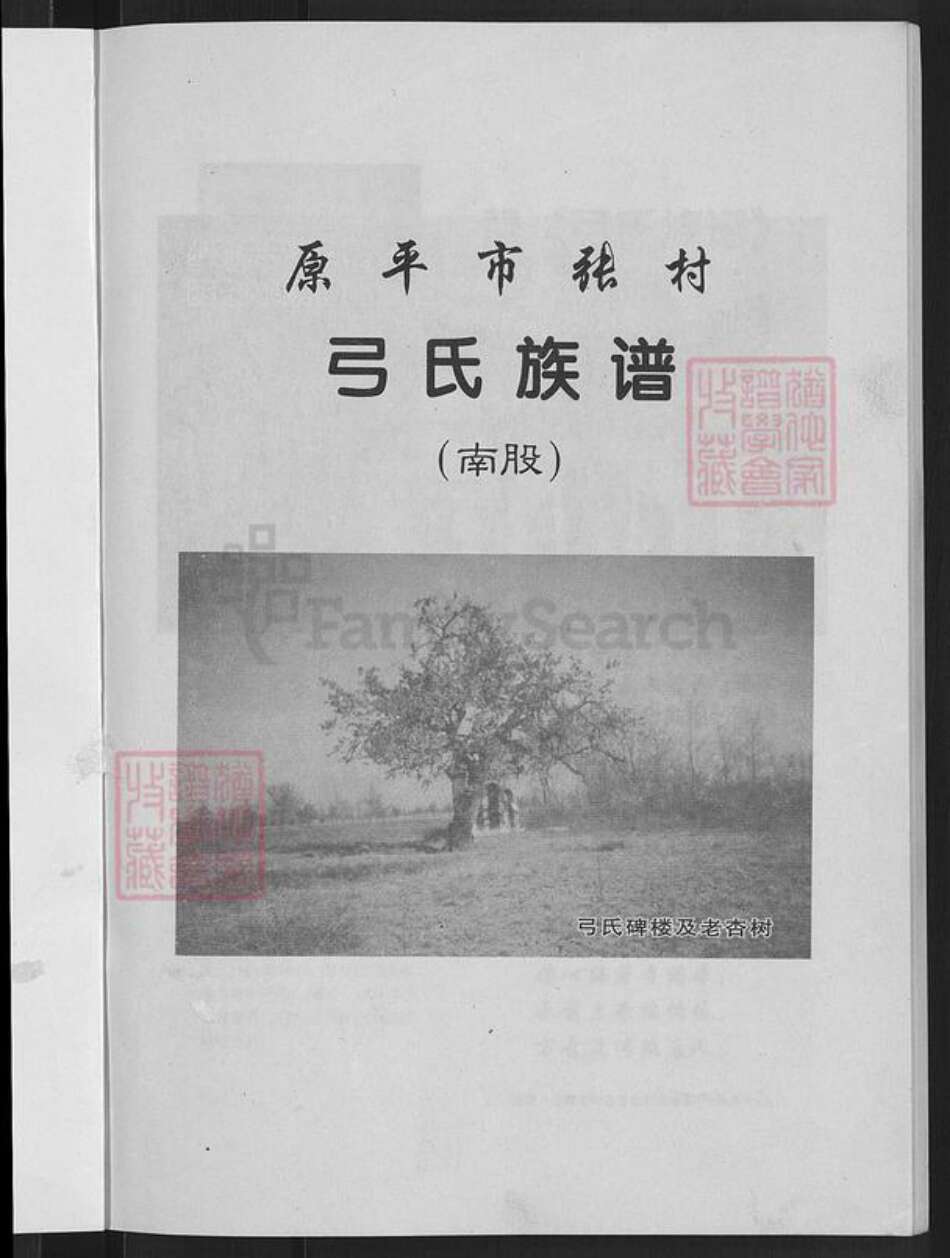 山西省忻州市原平市新原乡弓氏族谱-弓氏族谱(南股).pdf电子版预览图3