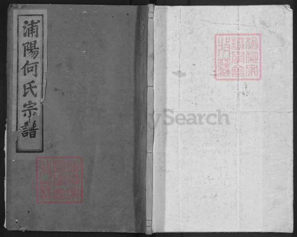 浙江省金华市浦江县何氏忠孝堂族谱-浦阳深袅何氏宗谱.pdf电子版缩略图