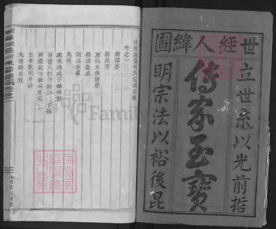 浙江省金华市浦江县何氏忠孝堂族谱-浦阳深袅何氏宗谱.pdf电子版预览图1