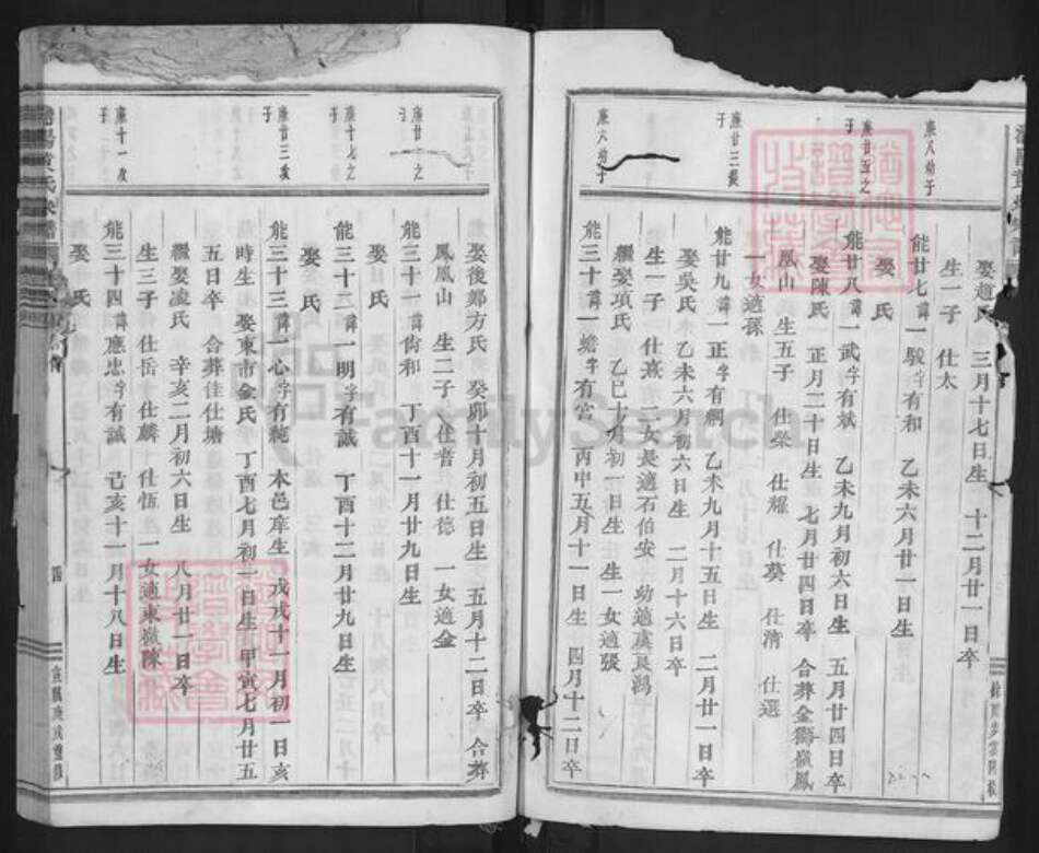 浙江省金华市浦江县浦阳街道黄氏族谱-浦阳黄氏宗谱.pdf电子版预览图4