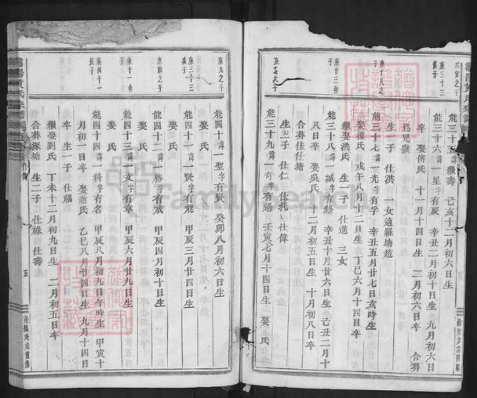 浙江省金华市浦江县浦阳街道黄氏族谱-浦阳黄氏宗谱.pdf电子版预览图5