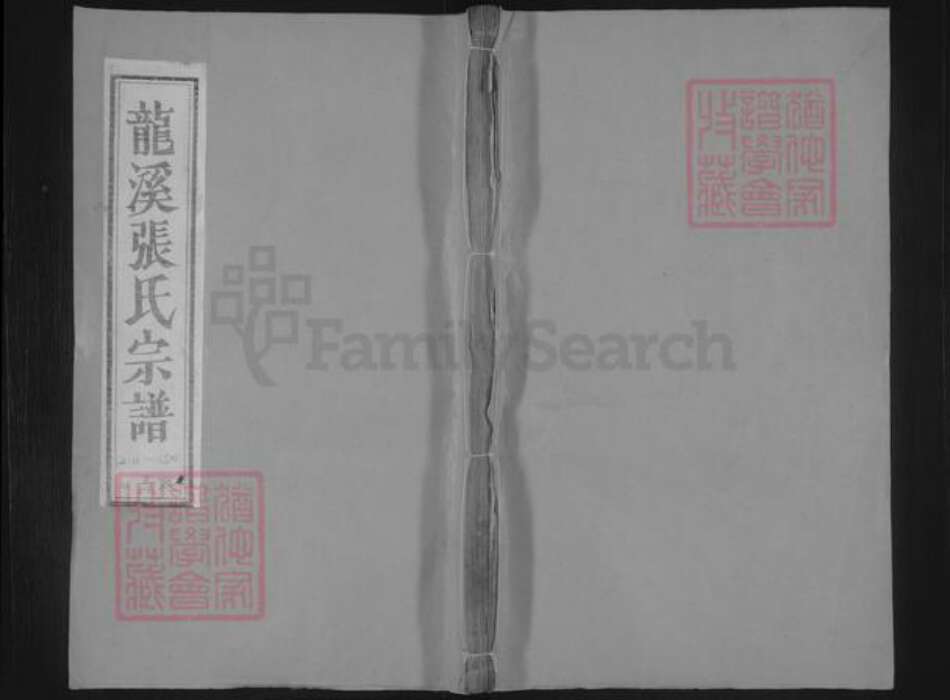 浙江省金华市浦江县白马镇张氏族谱-龙溪张氏八甲宗谱.pdf电子版缩略图