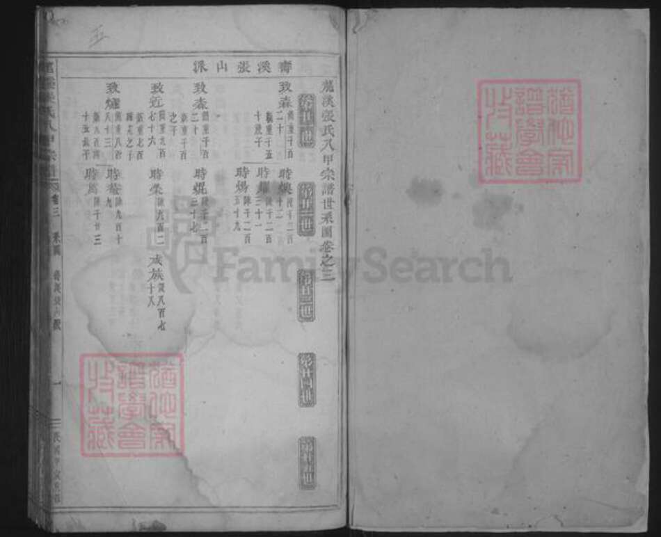 浙江省金华市浦江县白马镇张氏族谱-龙溪张氏八甲宗谱.pdf电子版预览图1