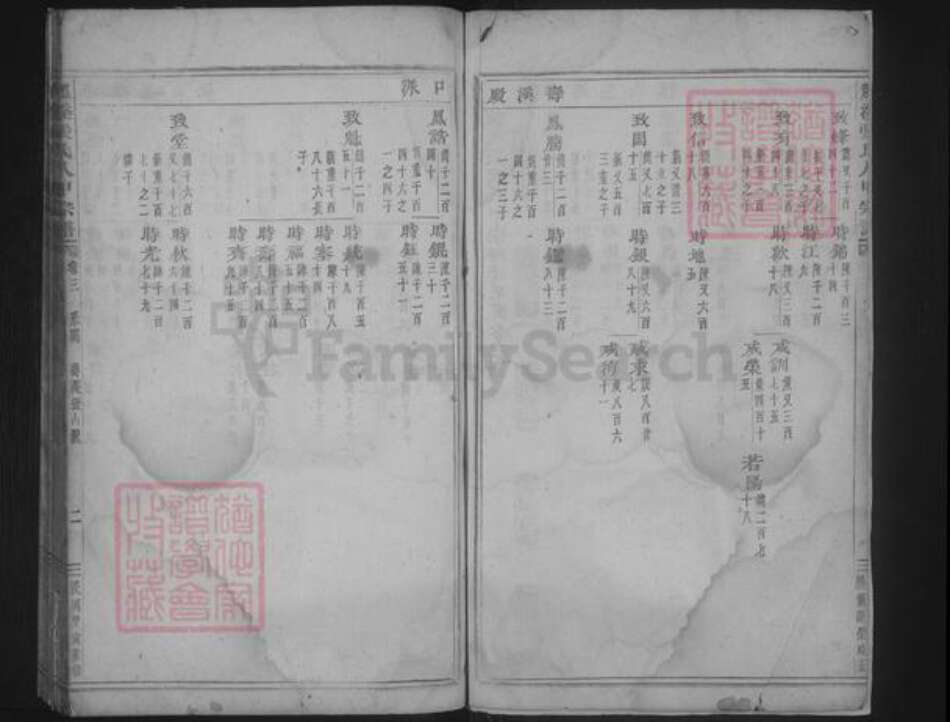 浙江省金华市浦江县白马镇张氏族谱-龙溪张氏八甲宗谱.pdf电子版预览图2