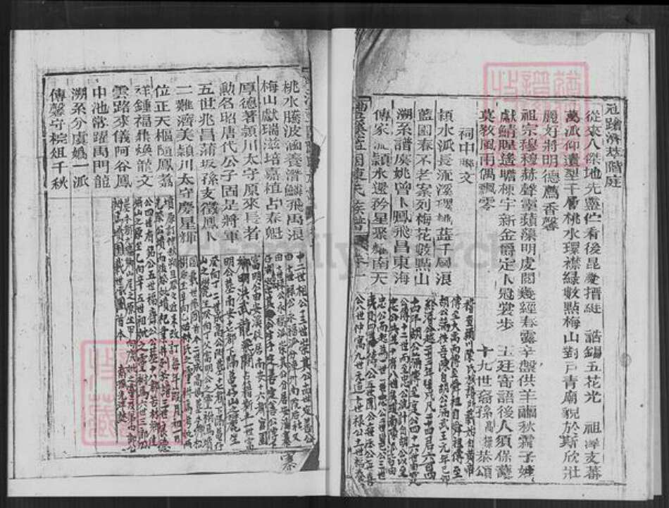 福建省泉州市德化县南山陈氏族谱-蓝园陈氏族谱.pdf电子版预览图5