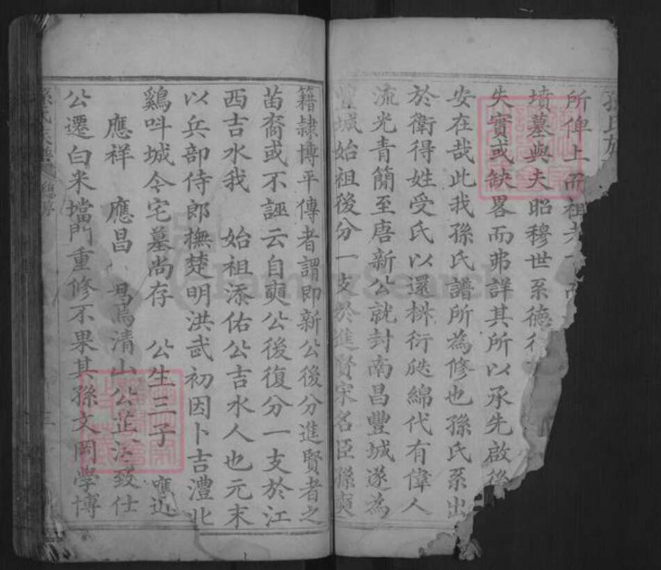 湖南省常德市孙氏乐安堂族谱-孙氏族谱.pdf电子版预览图2