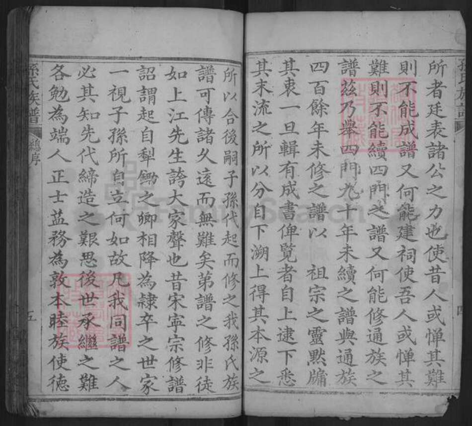 湖南省常德市孙氏乐安堂族谱-孙氏族谱.pdf电子版预览图5