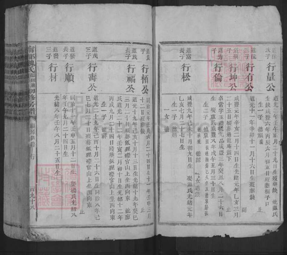 江西省赣州市宁都县魏氏族谱-宁都魏氏显纲庸质恒初修房谱.pdf电子版预览图2