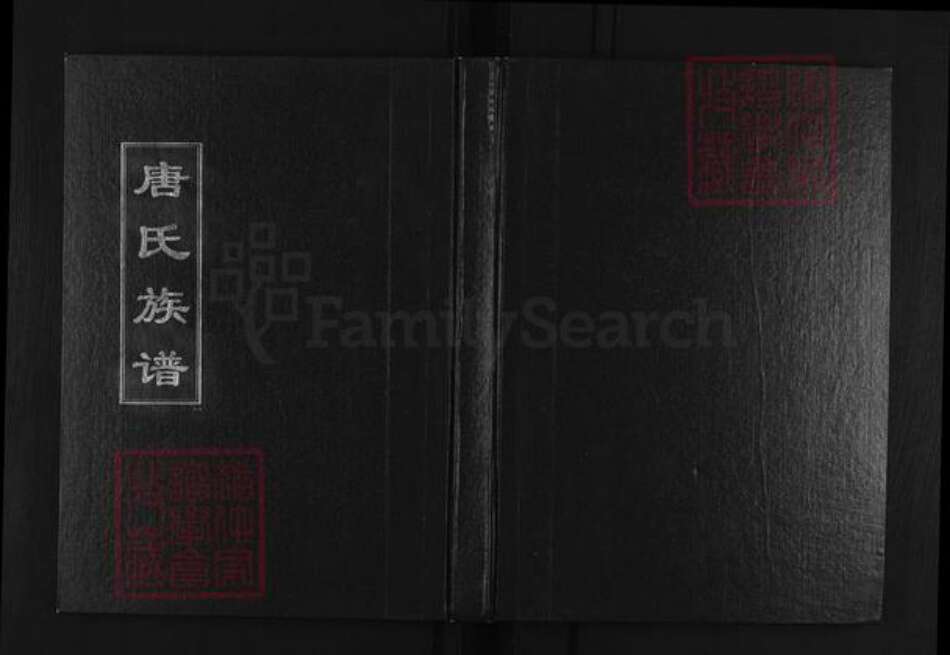 山东省淄博市淄川区唐氏族谱-唐氏族谱.pdf电子版缩略图