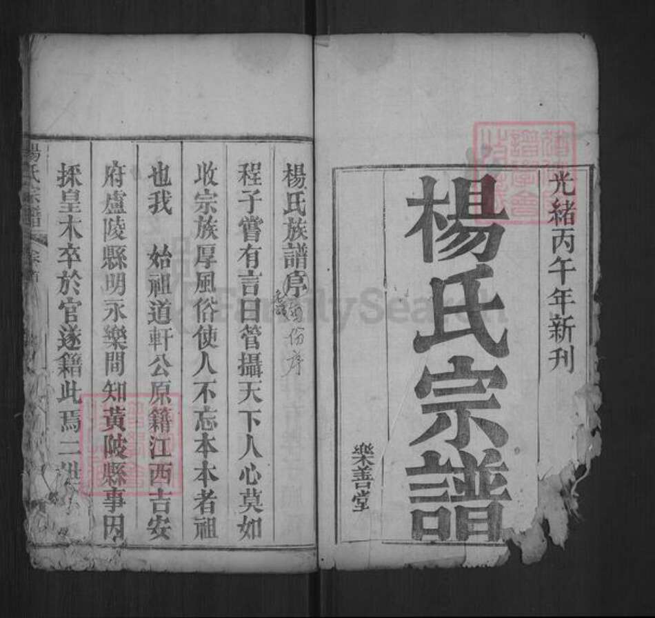 湖北省武汉市黄陂区六指街道杨氏乐善堂族谱-杨氏宗谱.pdf电子版预览图1