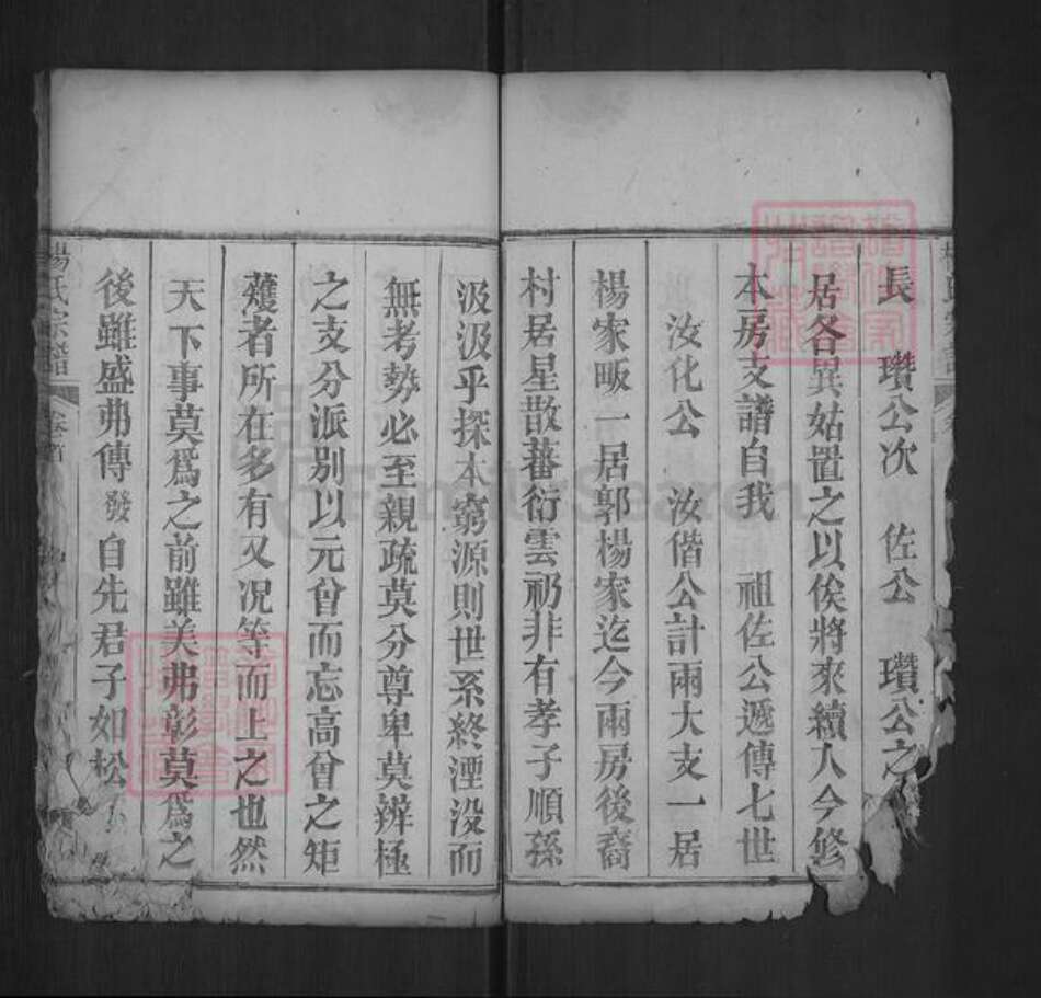 湖北省武汉市黄陂区六指街道杨氏乐善堂族谱-杨氏宗谱.pdf电子版预览图2