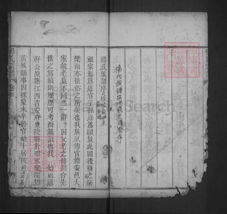 湖北省武汉市黄陂区六指街道杨氏乐善堂族谱-杨氏宗谱.pdf电子版预览图4