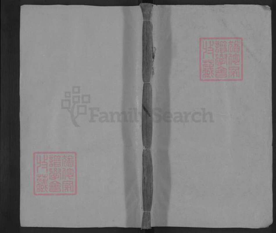 湖南省郴州市嘉禾县龙潭镇唐氏族谱-唐氏宗谱.pdf电子版缩略图