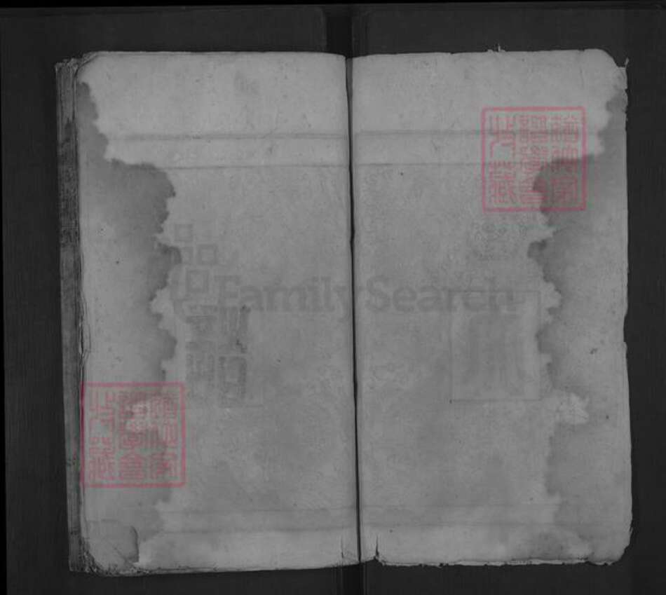 湖南省郴州市嘉禾县龙潭镇唐氏族谱-唐氏宗谱.pdf电子版预览图2