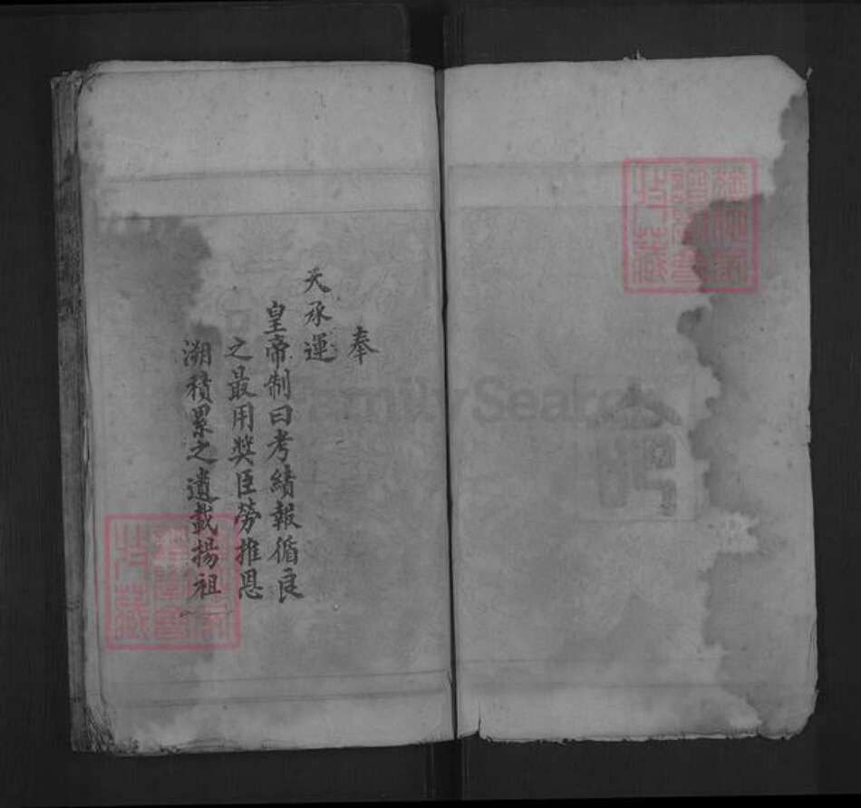 湖南省郴州市嘉禾县龙潭镇唐氏族谱-唐氏宗谱.pdf电子版预览图3