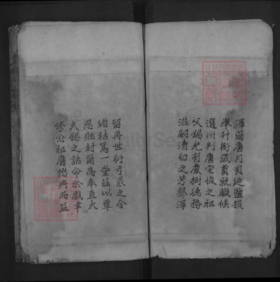 湖南省郴州市嘉禾县龙潭镇唐氏族谱-唐氏宗谱.pdf电子版预览图4