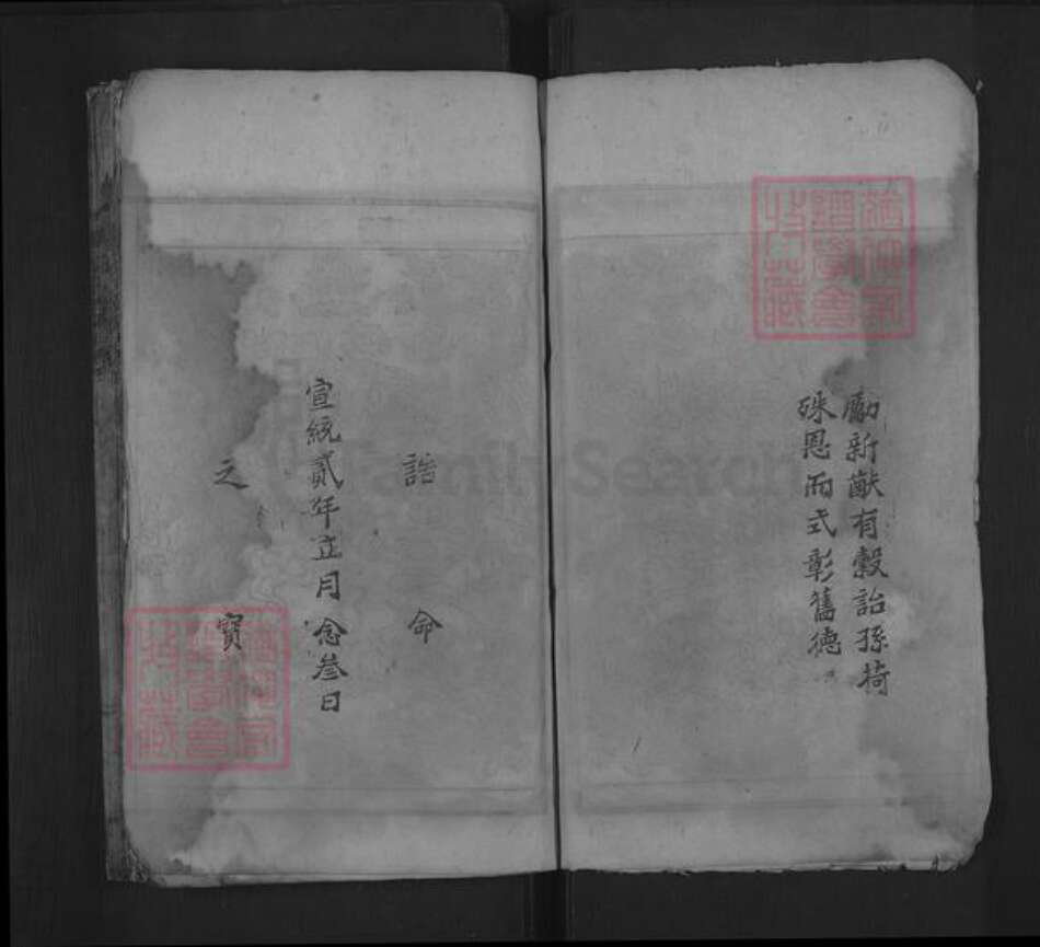 湖南省郴州市嘉禾县龙潭镇唐氏族谱-唐氏宗谱.pdf电子版预览图5