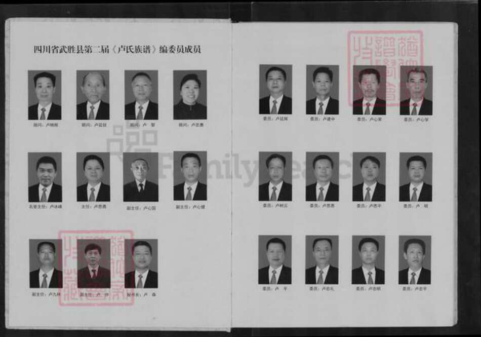 四川省广安市武胜县卢氏族谱-卢氏族谱.pdf电子版预览图2