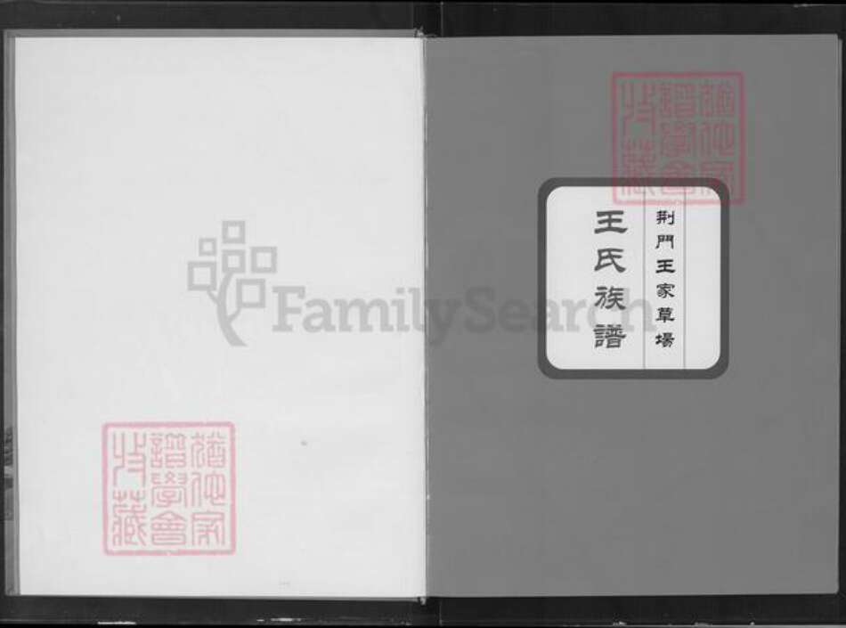 湖北省荆门市沙洋县王氏三槐堂族谱-王家草场王氏族谱.pdf电子版预览图2