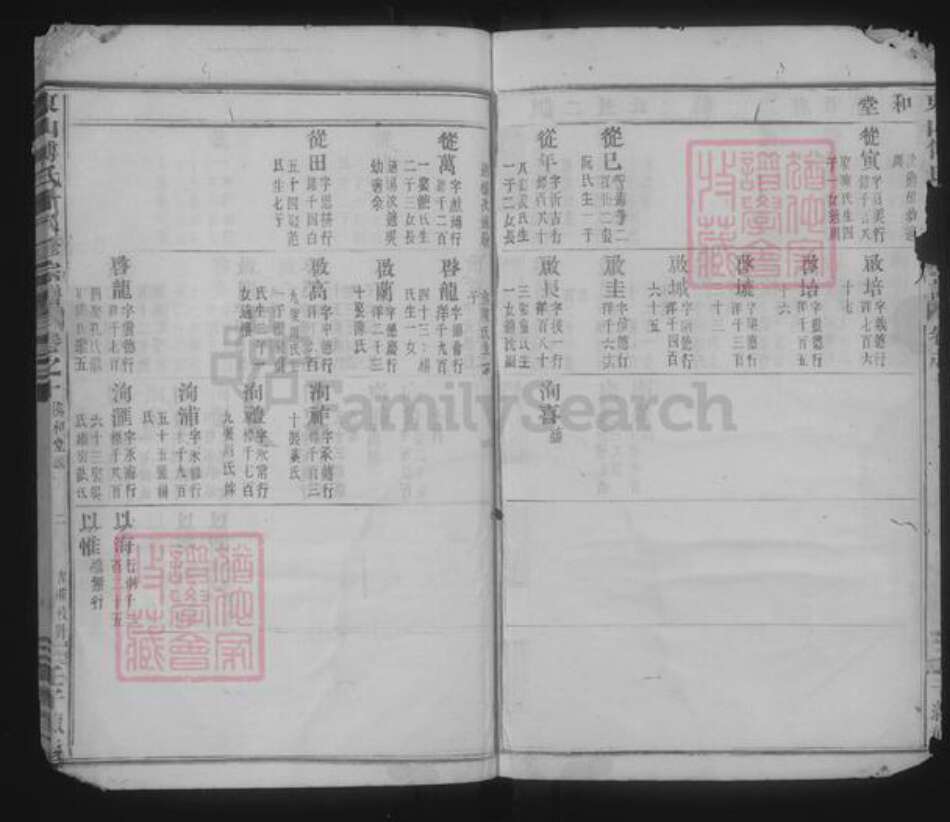 浙江省金华市傅氏族谱-东山傅氏十八修宗谱.pdf电子版预览图2