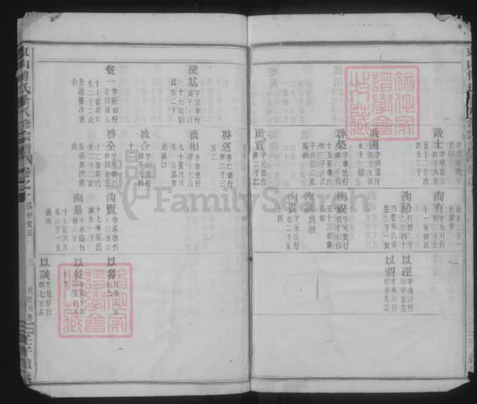 浙江省金华市傅氏族谱-东山傅氏十八修宗谱.pdf电子版预览图3