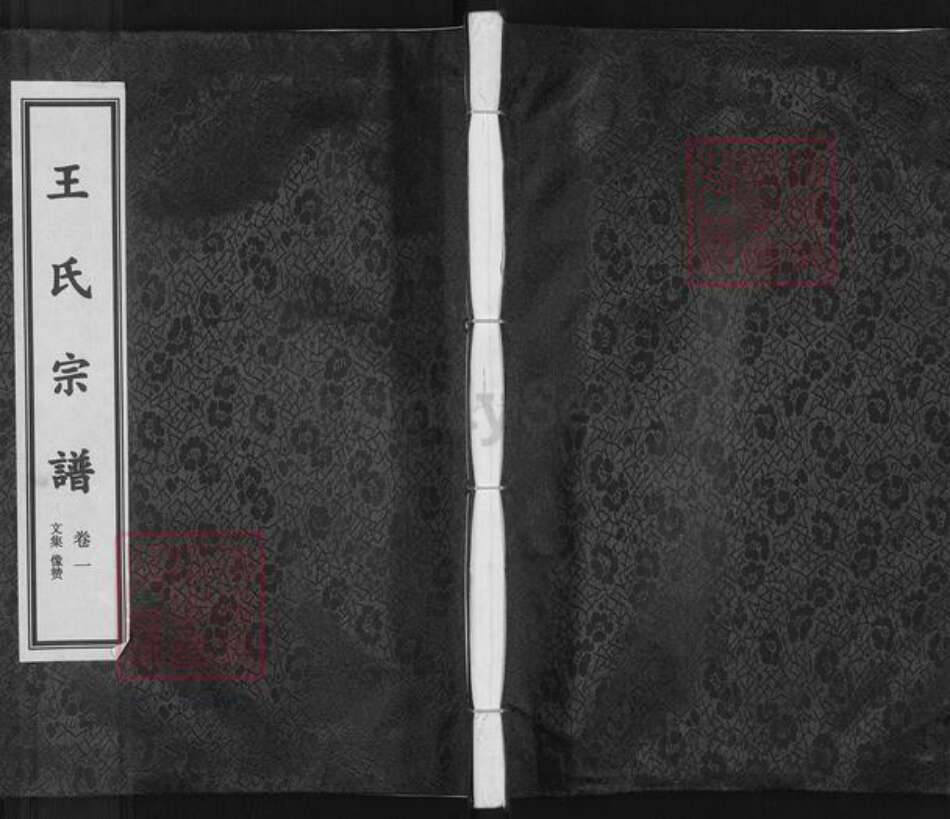 浙江省金华市武义县柳城畬族镇王氏族谱-麻济王氏宗谱.pdf电子版缩略图