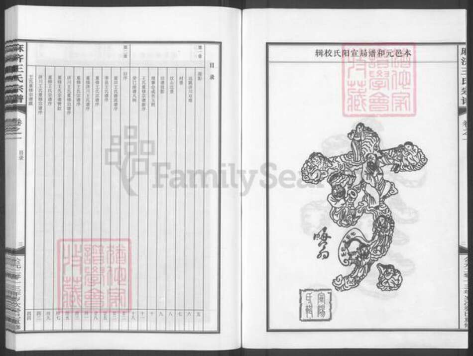 浙江省金华市武义县柳城畬族镇王氏族谱-麻济王氏宗谱.pdf电子版预览图2