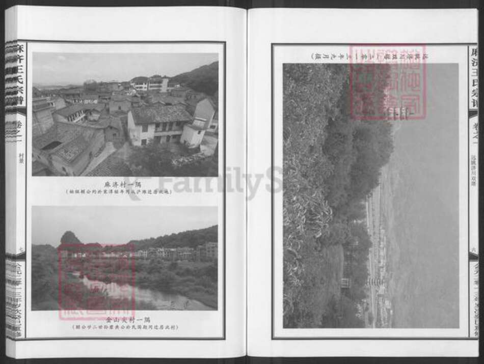 浙江省金华市武义县柳城畬族镇王氏族谱-麻济王氏宗谱.pdf电子版预览图4