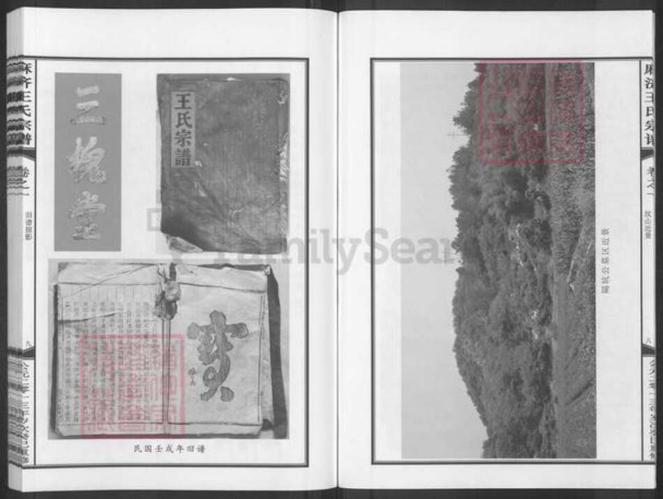 浙江省金华市武义县柳城畬族镇王氏族谱-麻济王氏宗谱.pdf电子版预览图5