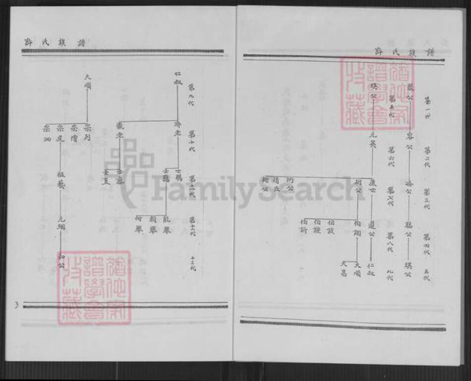 福建省厦门市翔安区内厝镇许氏族谱-翔安区内厝镇后房村许氏族谱.pdf电子版预览图3