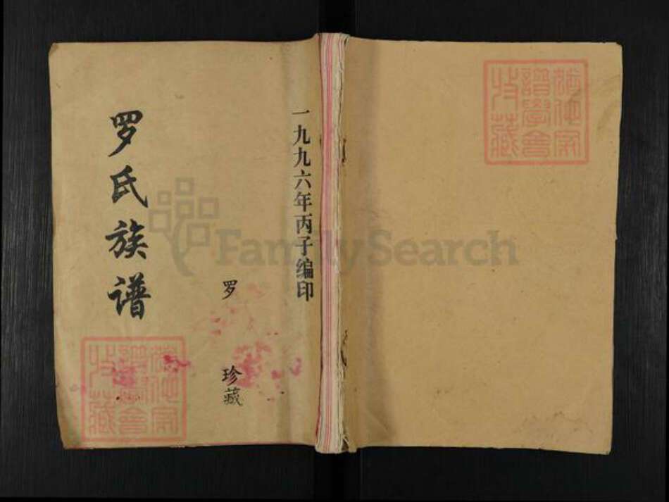 湖南省益阳市桃江县罗氏豫章堂族谱-罗氏八修族谱.pdf电子版缩略图