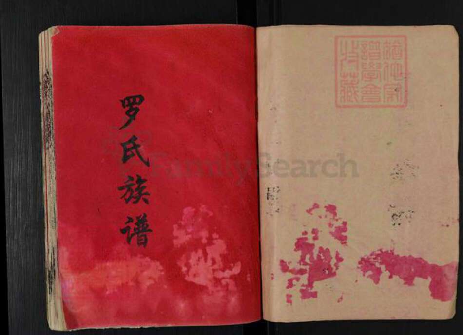 湖南省益阳市桃江县罗氏豫章堂族谱-罗氏八修族谱.pdf电子版预览图1