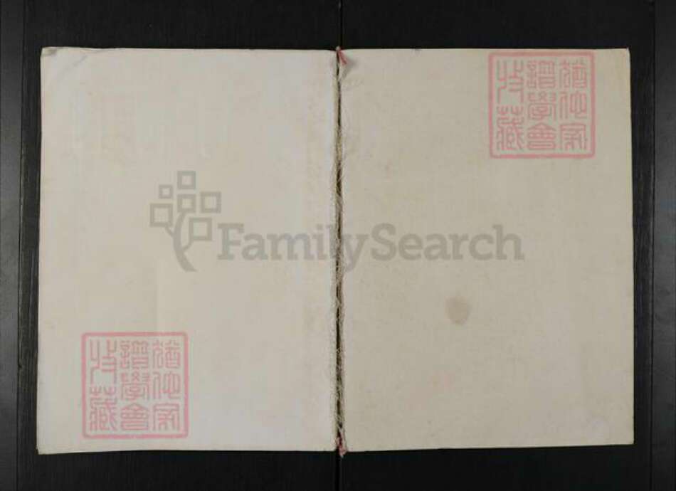 湖南省岳阳市华容县张氏清河堂族谱-清河张氏族谱.pdf电子版缩略图