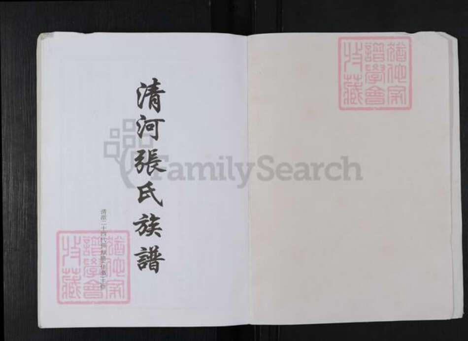 湖南省岳阳市华容县张氏清河堂族谱-清河张氏族谱.pdf电子版预览图1