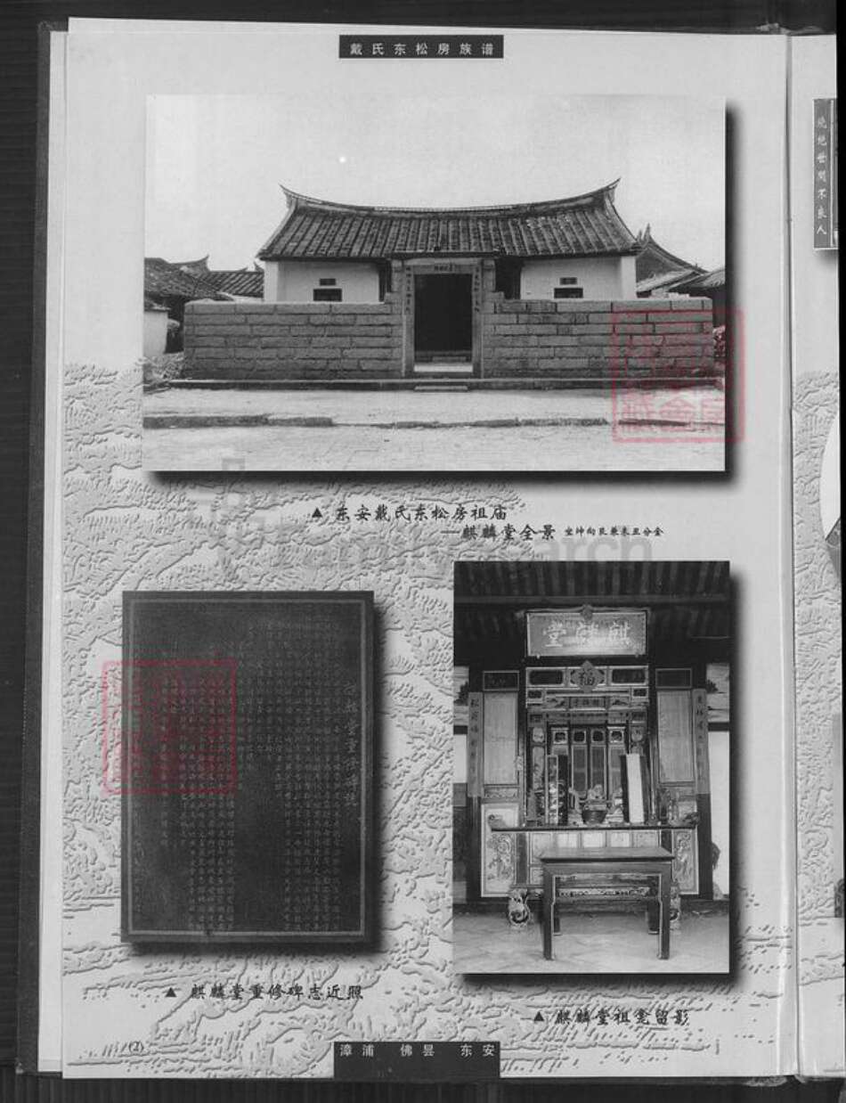 福建省泉州市南安市丰州镇戴氏麒麟堂族谱-戴氏东松房族谱.pdf电子版预览图5