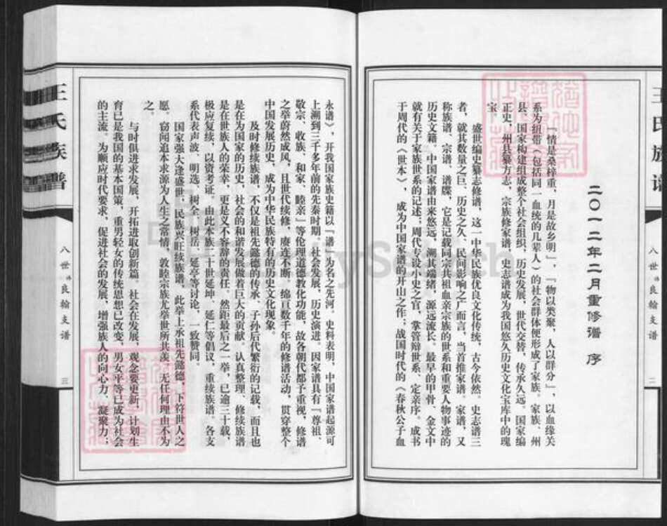 山东省潍坊市寒亭区王氏族谱-七裹庄王氏族谱.pdf电子版预览图2