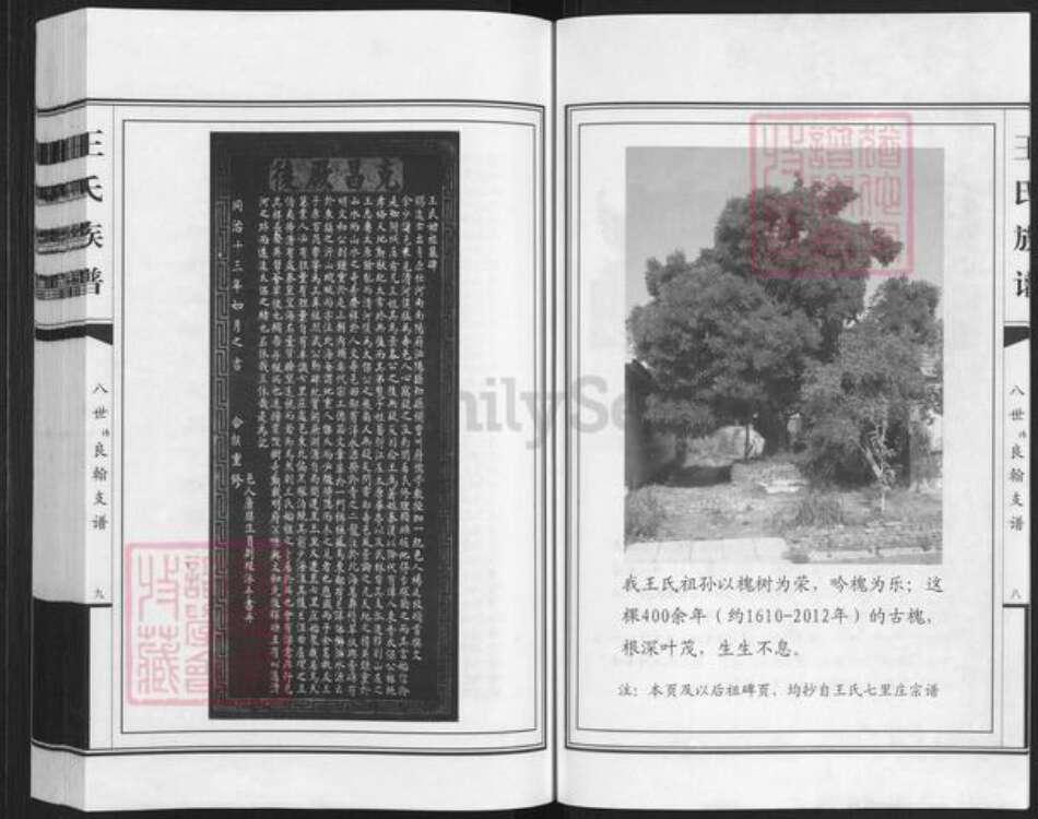 山东省潍坊市寒亭区王氏族谱-七裹庄王氏族谱.pdf电子版预览图5