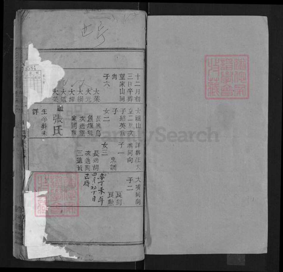 湖北省武汉市黄陂区汪氏敦本堂族谱-汪氏宗谱.pdf电子版预览图1